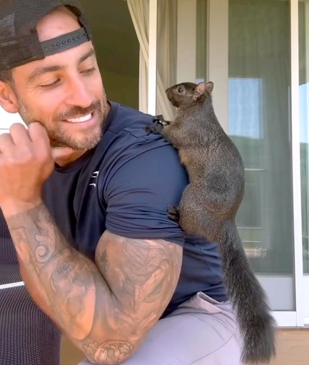 Newsletter 11.4 Graphic