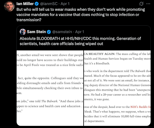 4.3.25 newsletter image